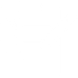 Structured Mock Tests